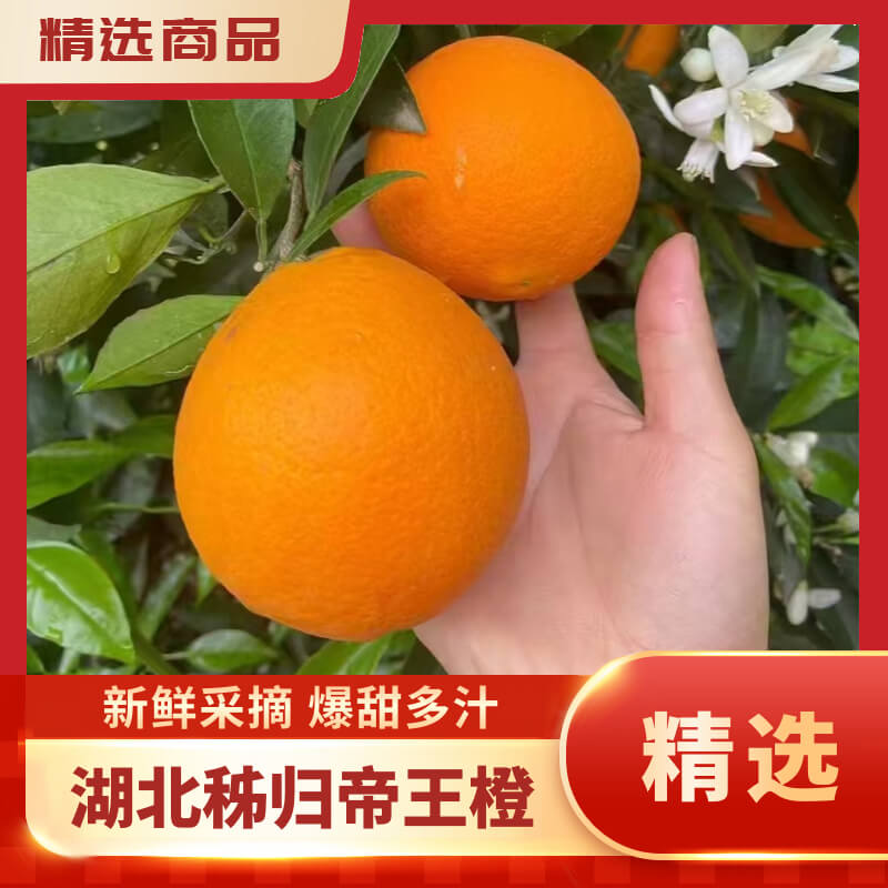 精品推荐
